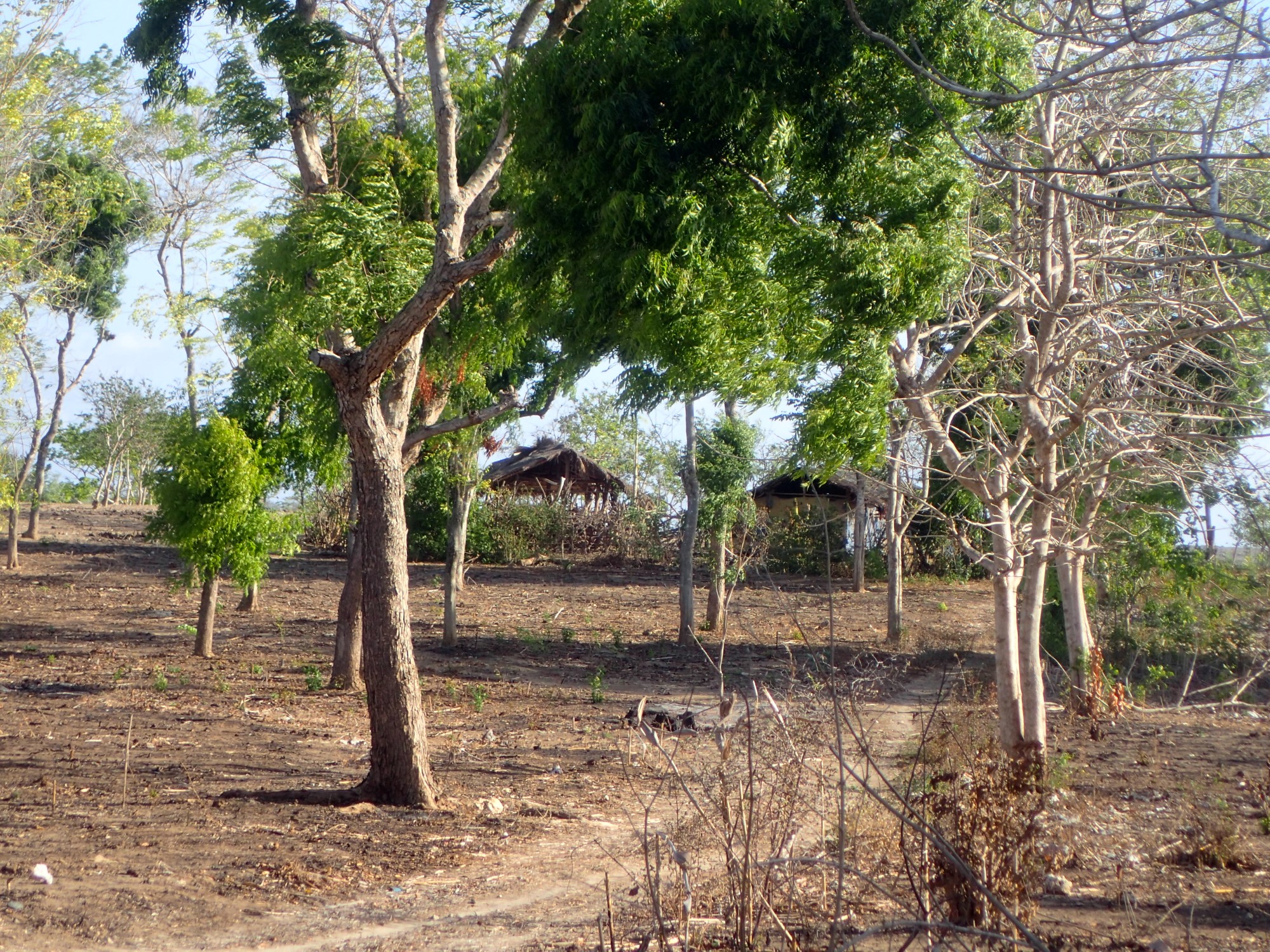 Landsby i Indonesia
