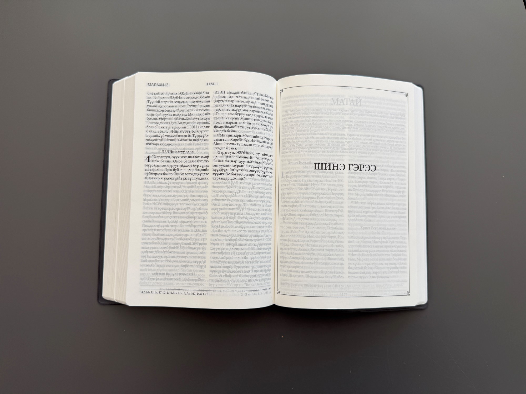 Illustrasjonsbilde, Mongolsk Bibel