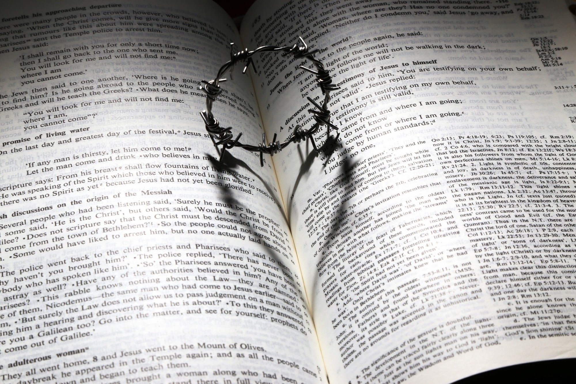 Bibel, tornekrone, hjerte