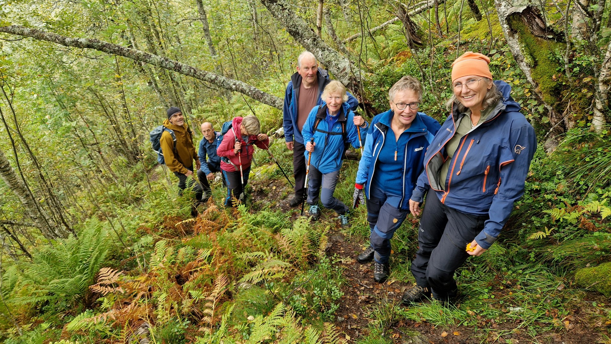 Glade mennesker på skogstur