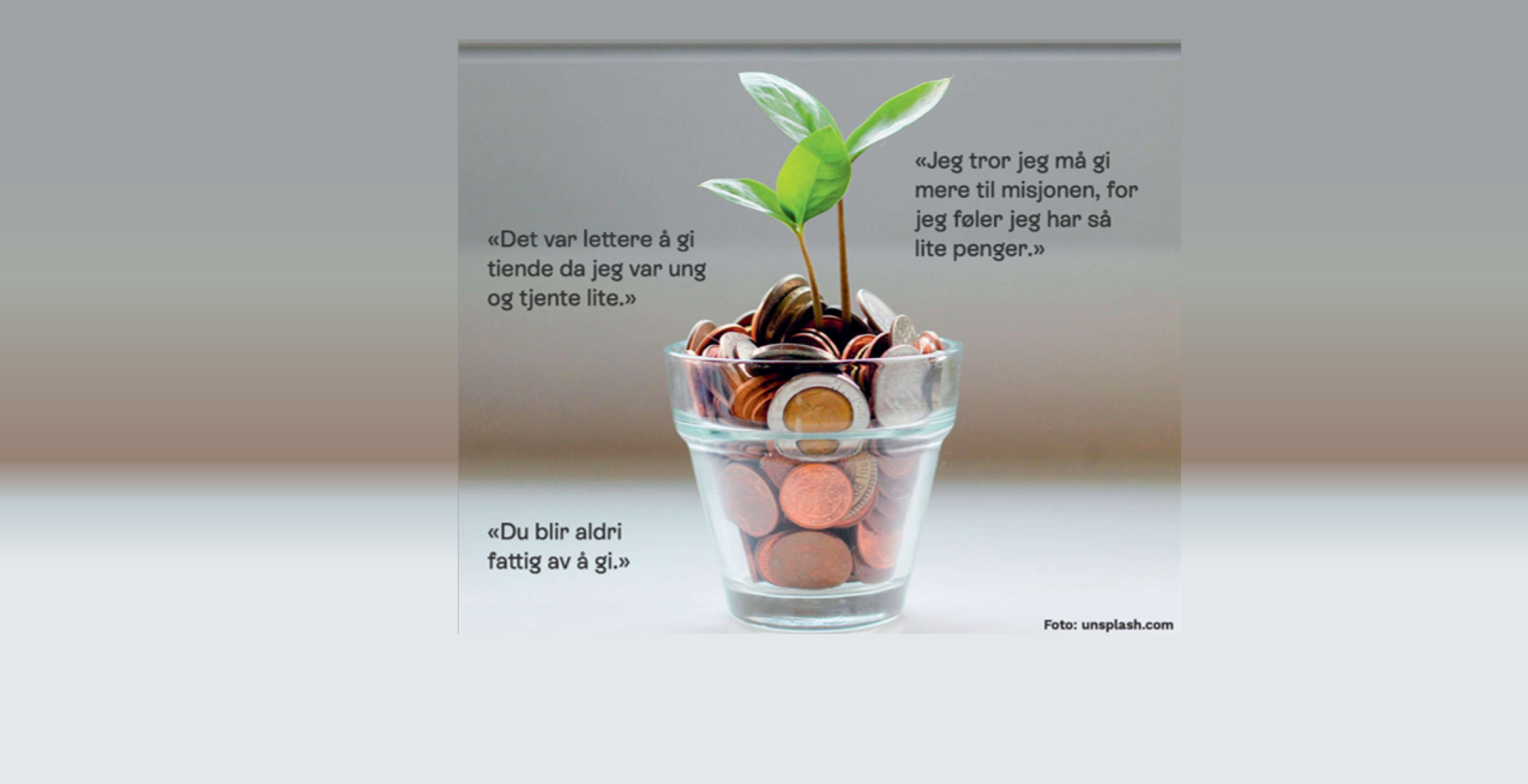Blomst vokser fra potte med mynter, + sitat