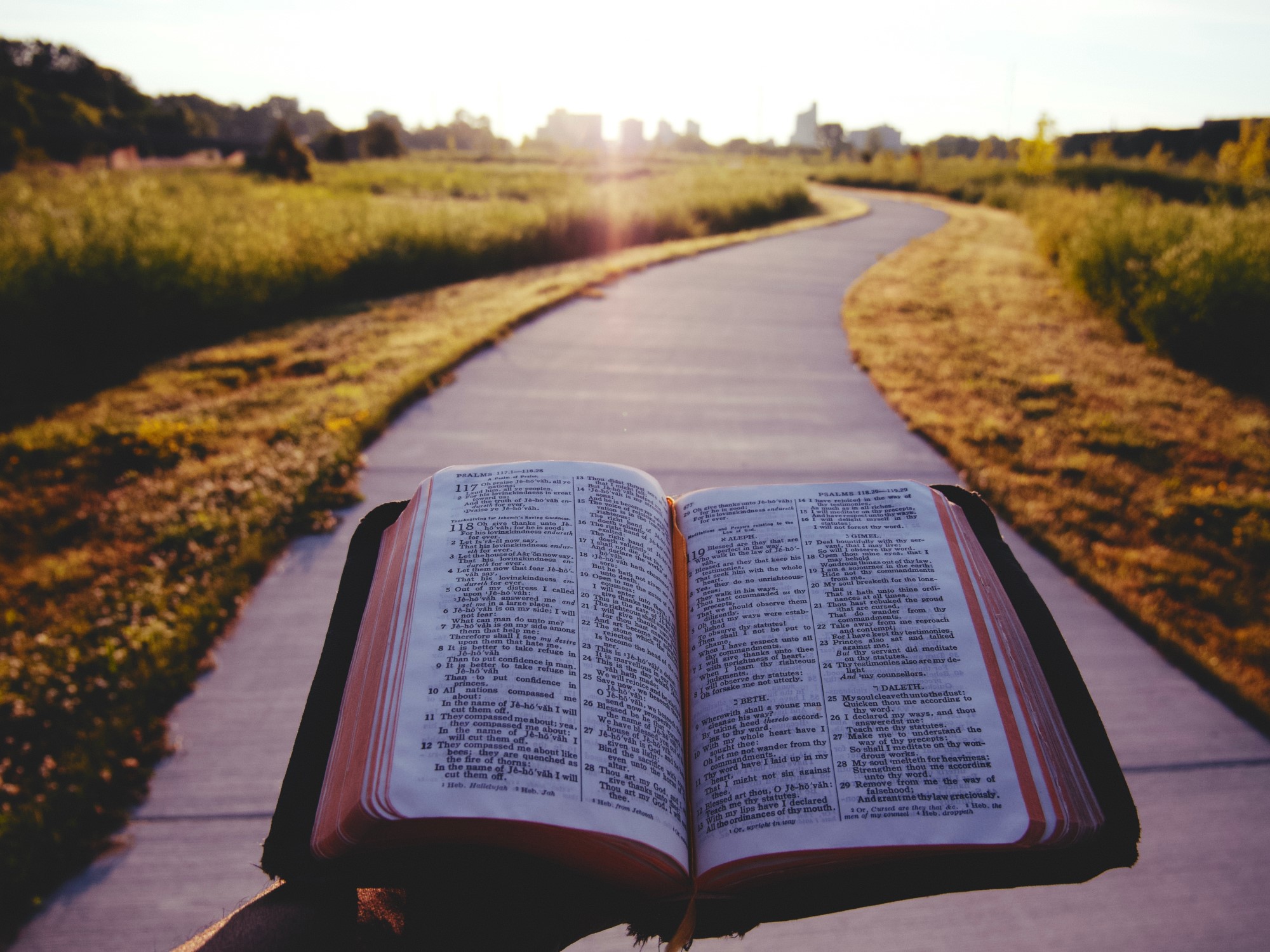 Hånd holder åpen bibel foran svingete vei