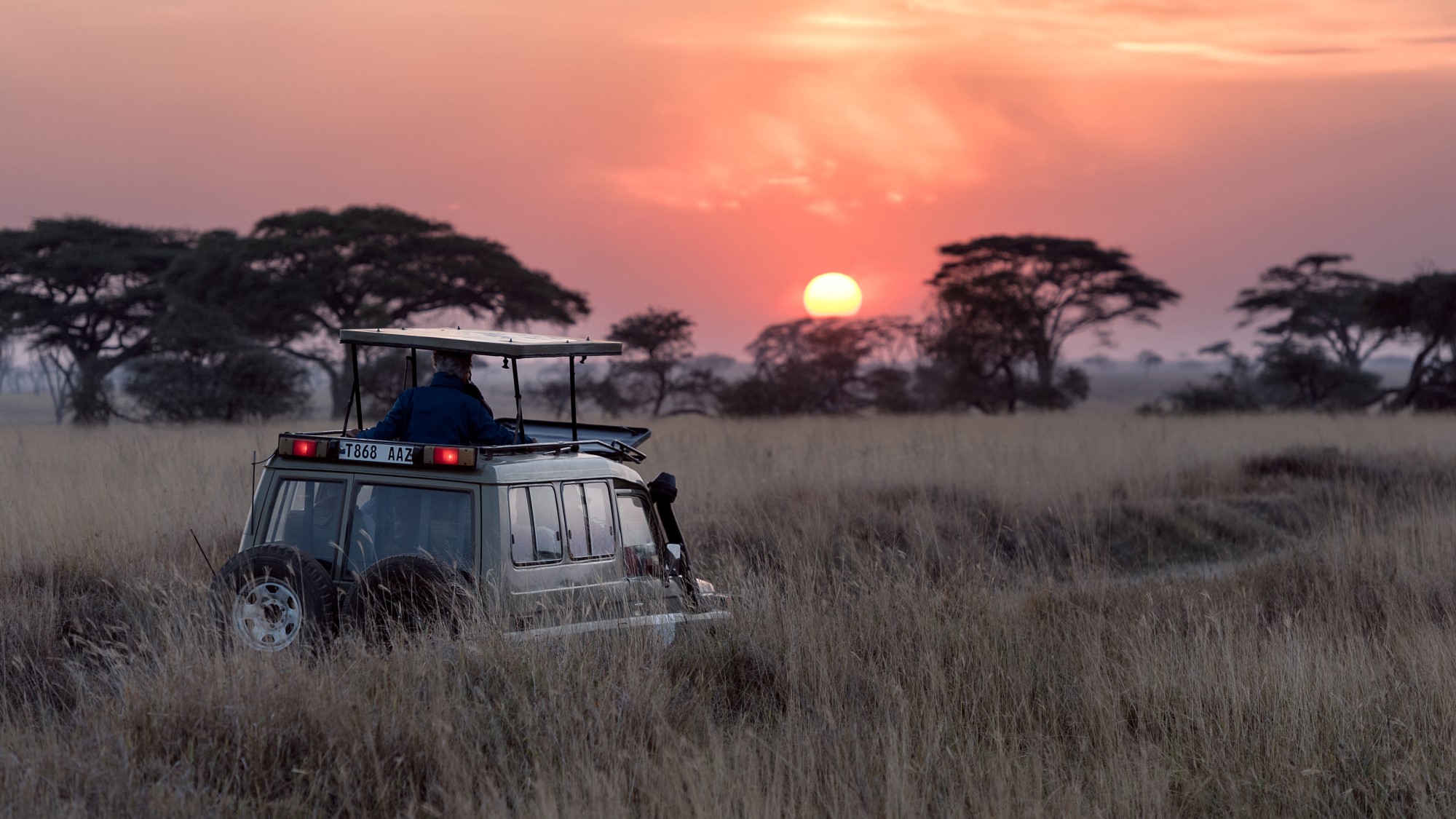 Safaribil på savannen i solnedgang