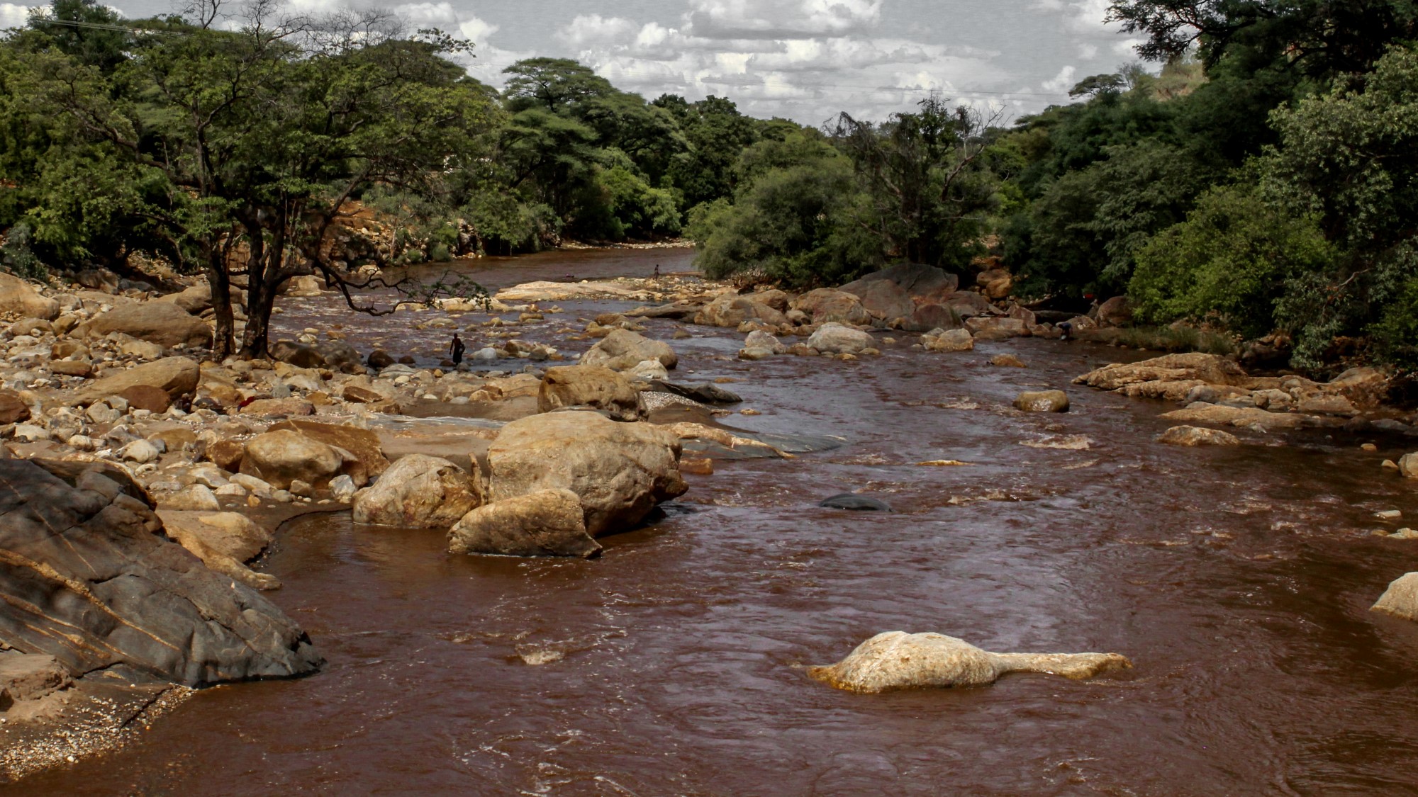 Elv i Pokot