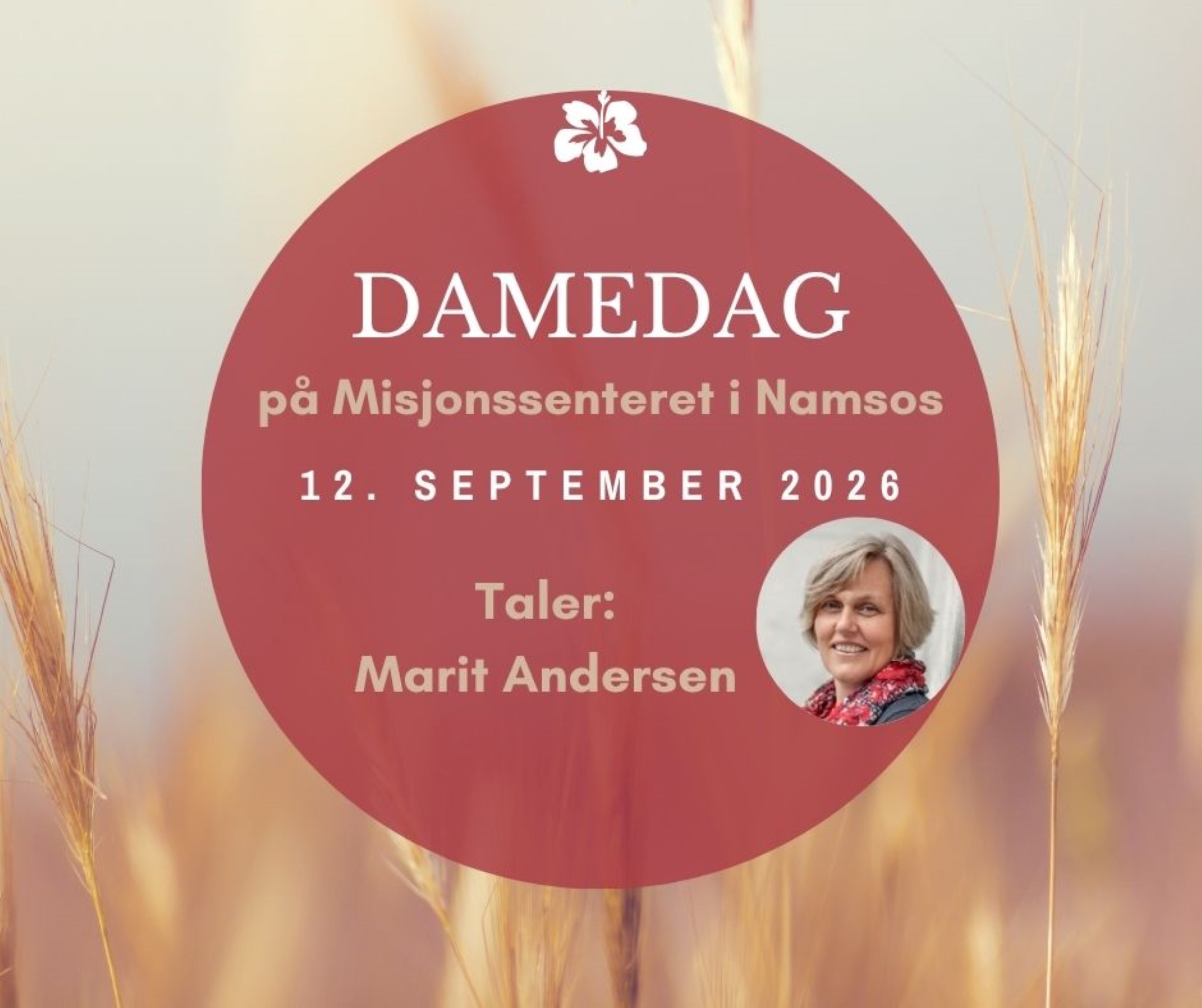 Plakat for Damedag i Namsos