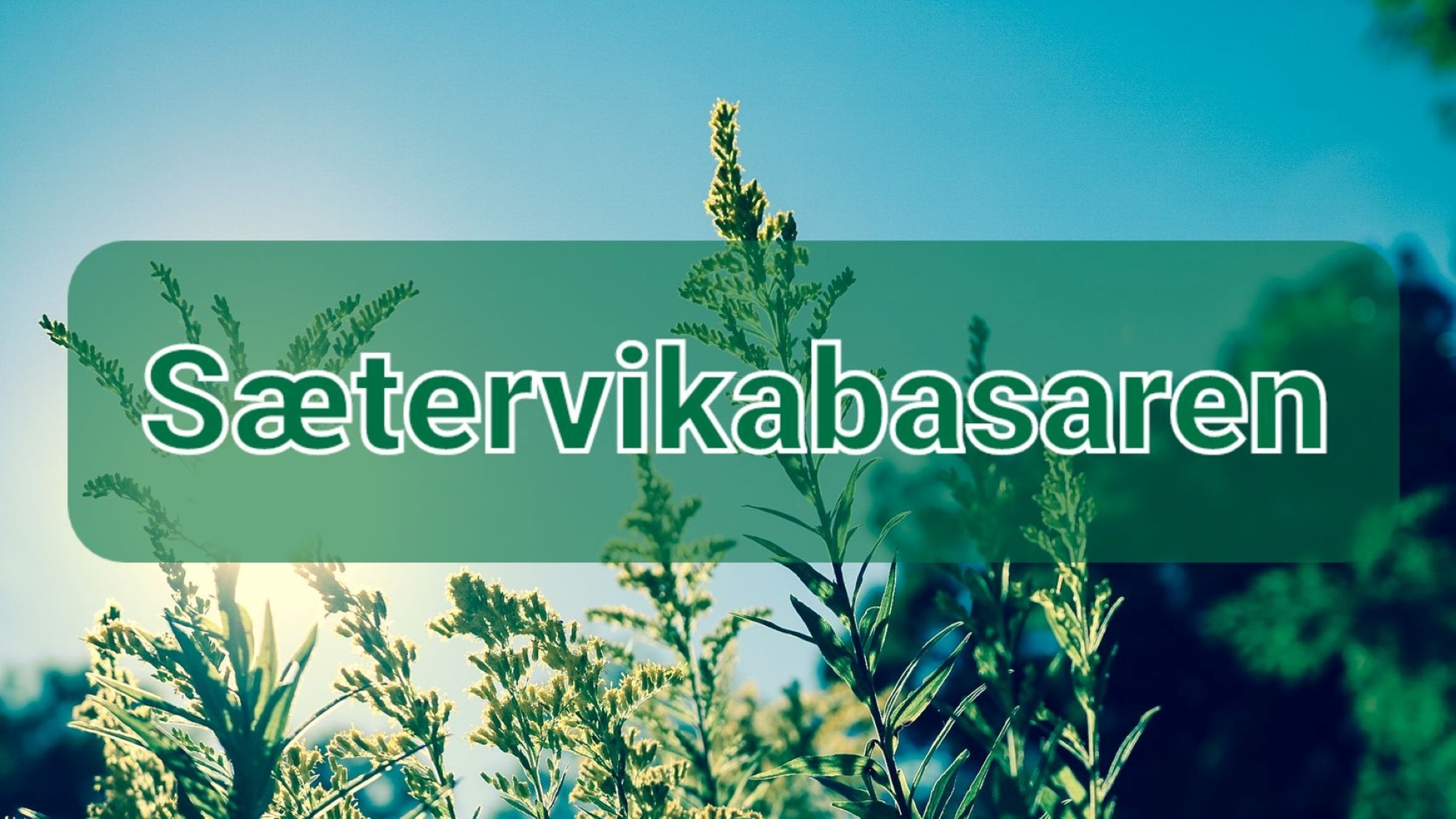 Ordet Sætervikabasaren