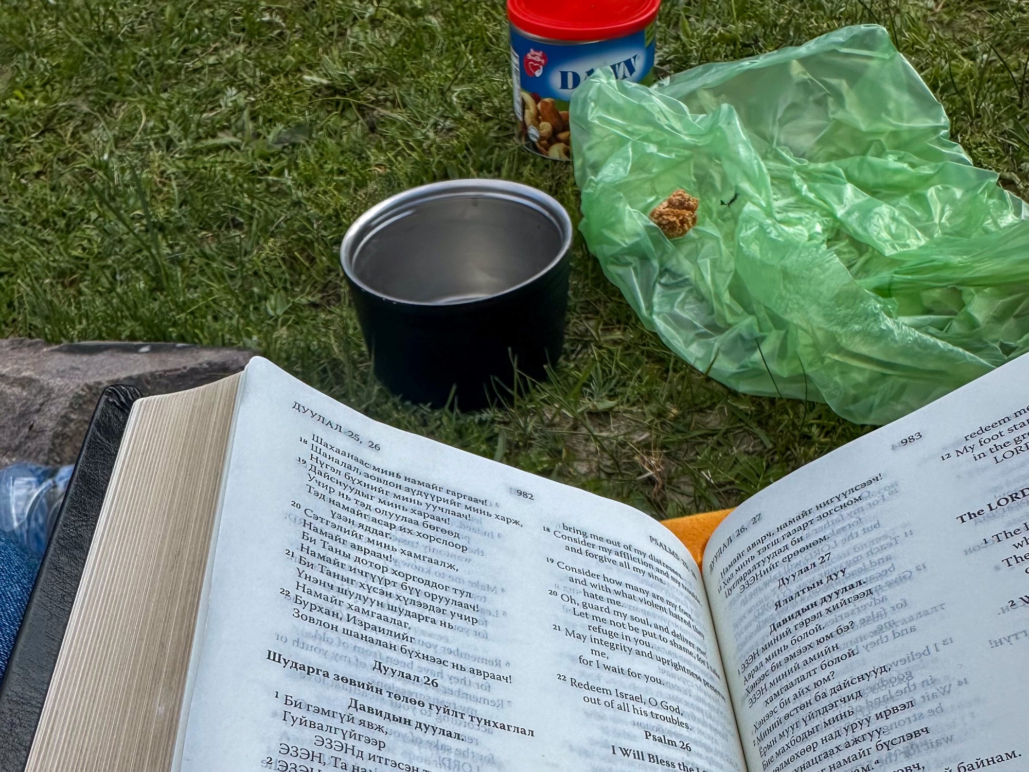 Bibel på engelsk og Mongolsk