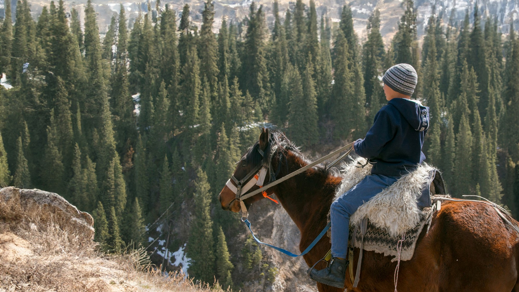 Gutt på hesteryggen i skog- og fjellandskap