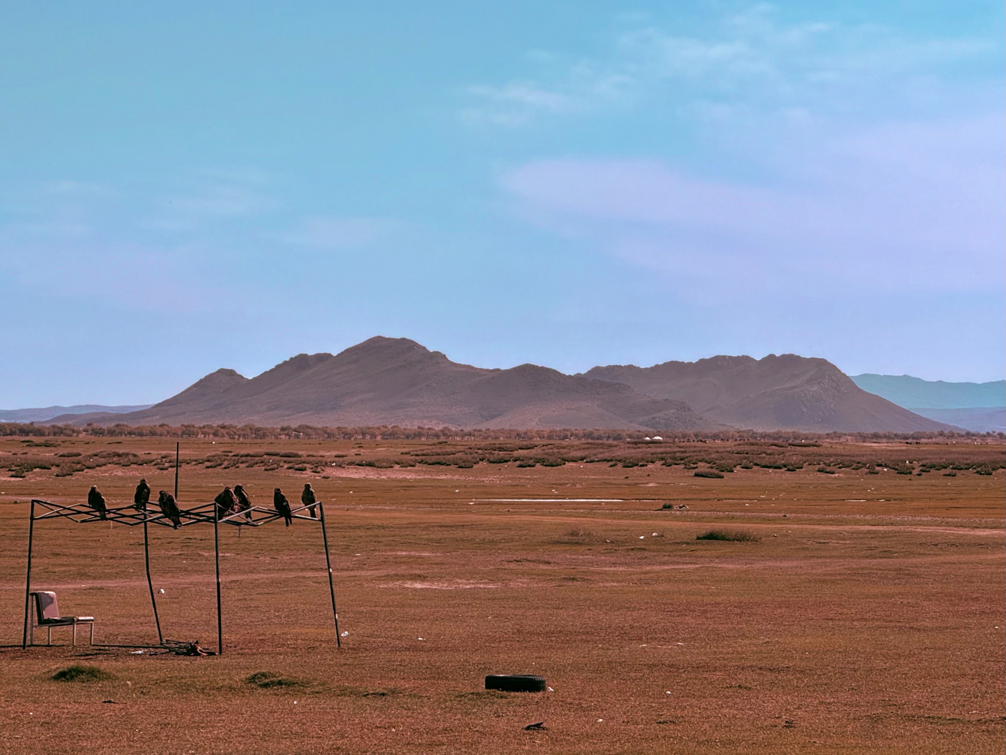 Fugler på et stativ på en stor slette