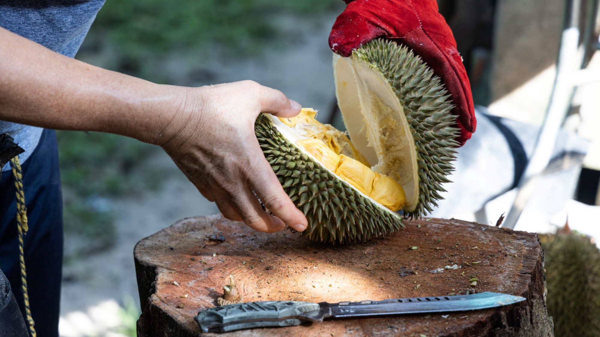 Durian