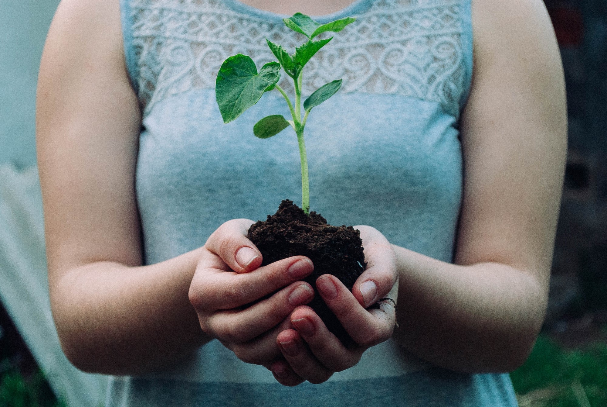 Bilde av kvinne med liten plante i hendene.