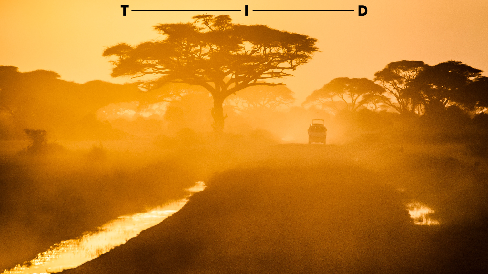 Bil på savannen i solnedgang