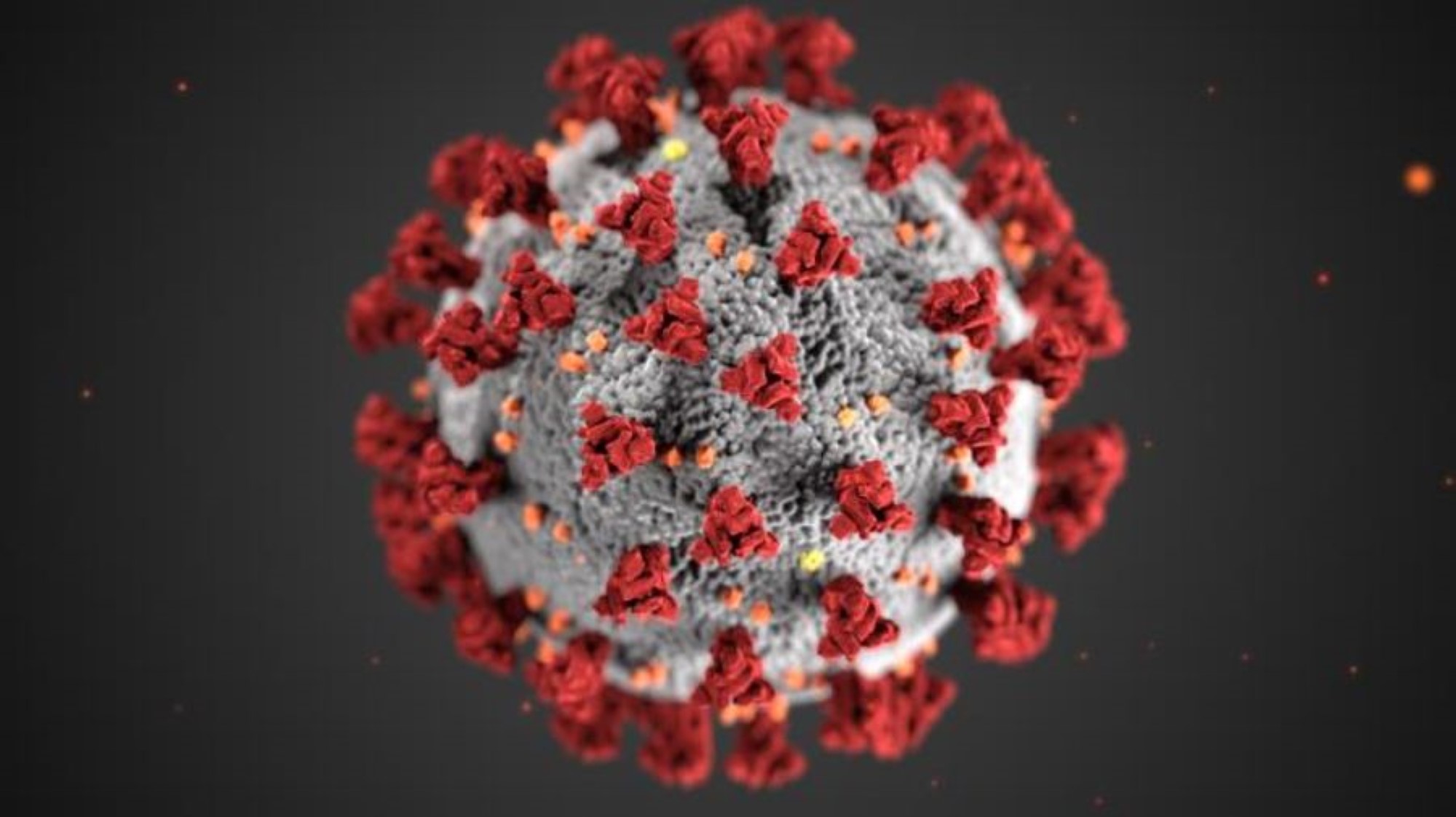 Covid-19 virus