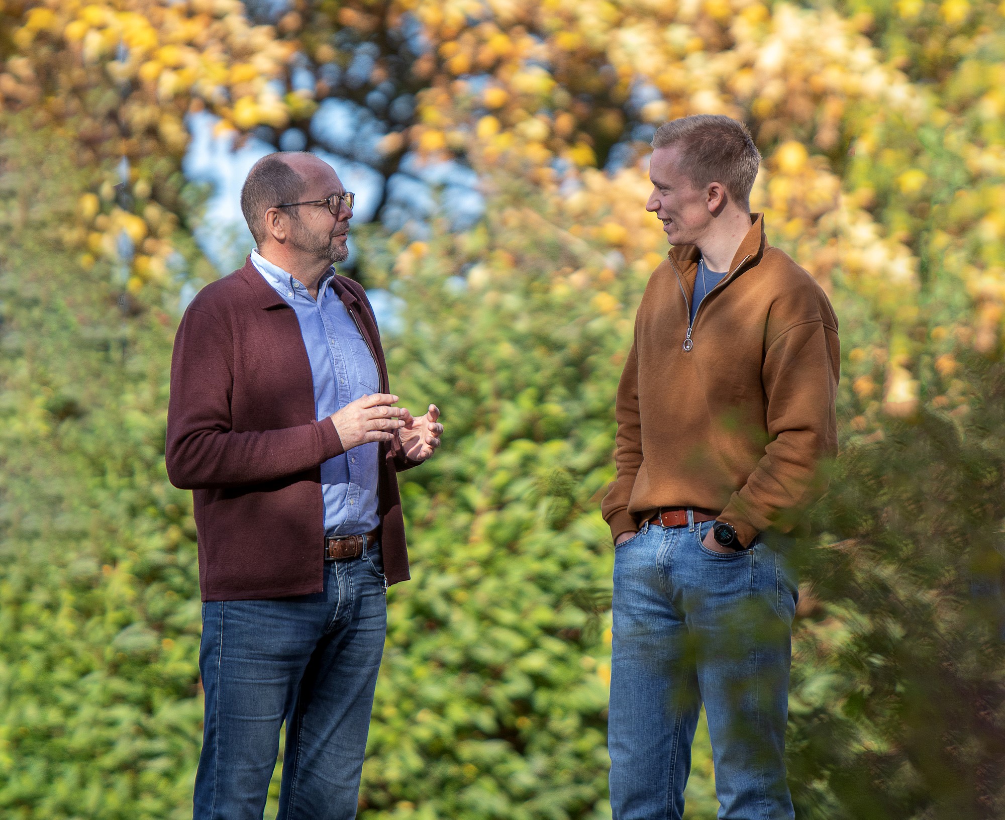 Vegge og Fjeldskår